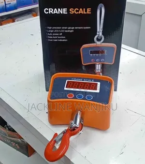 Reliable Commercial Digital 500kgs Crane Scale