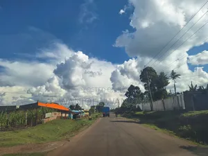 3 Acre Prime Piece of Land