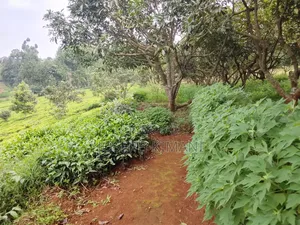 Farm for Sale in Munduro Gatundu South