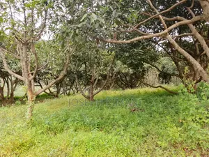 Farm for Sale in Munduro Gatundu South