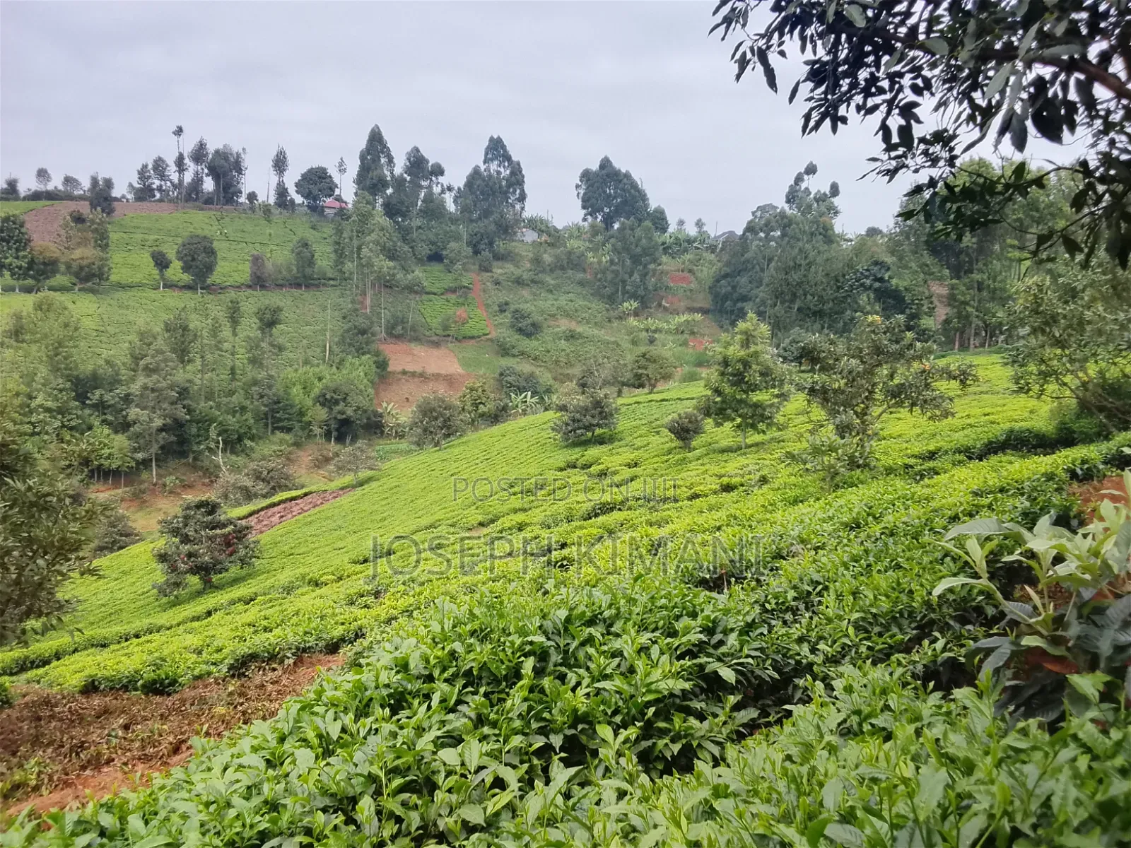 Farm for Sale in Munduro Gatundu South
