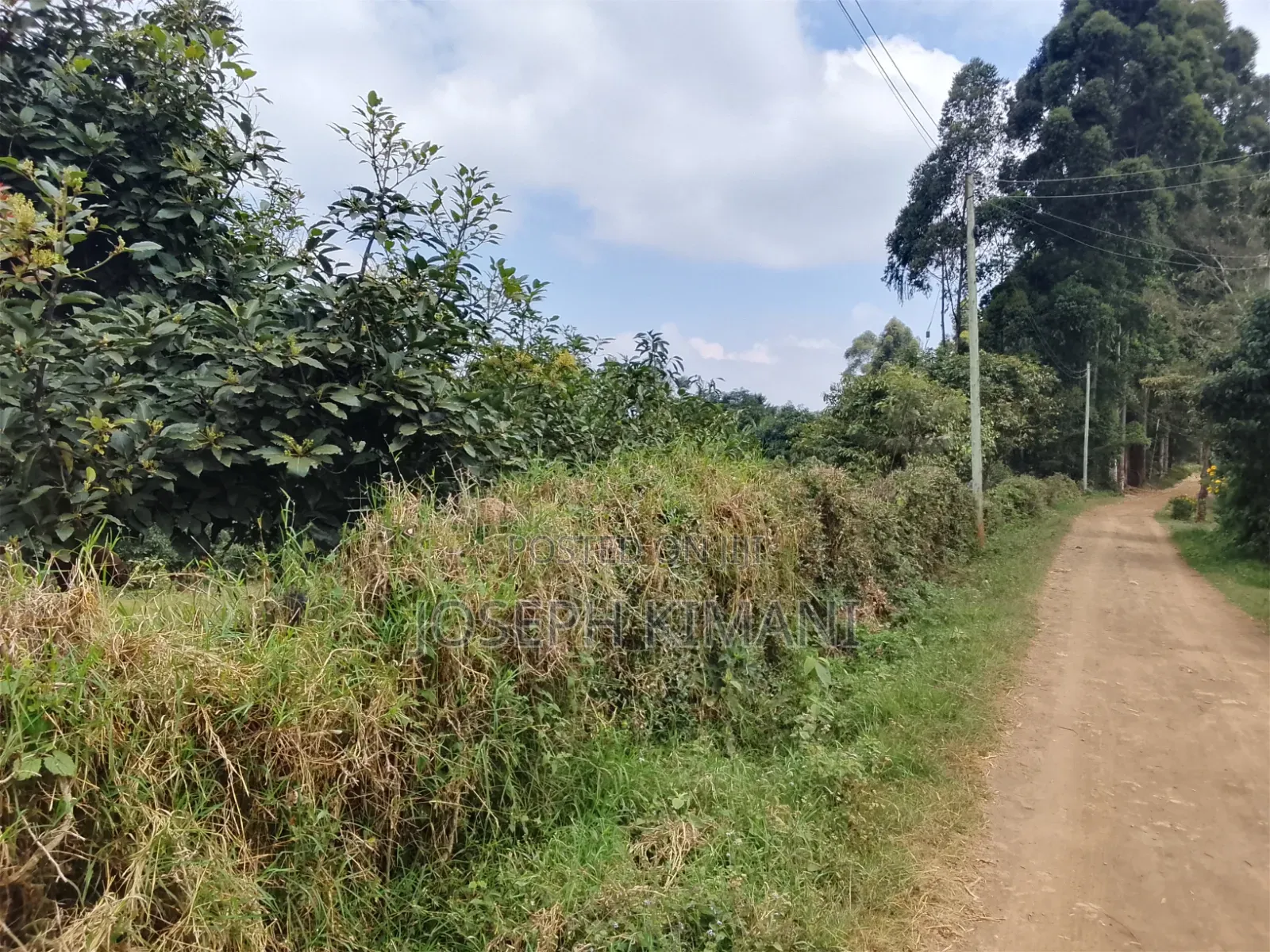 Farm for Sale in Munduro Gatundu South