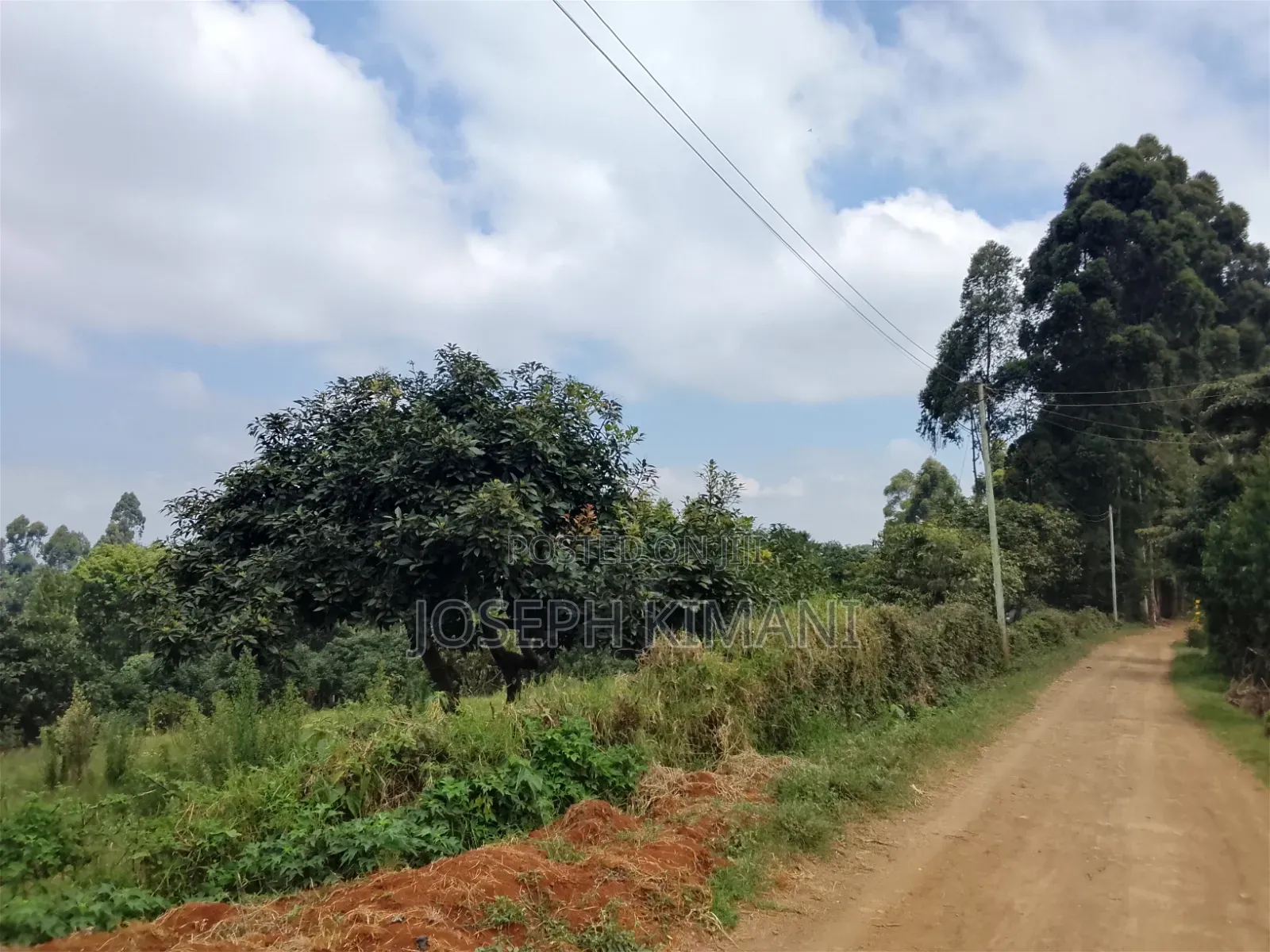 Farm for Sale in Munduro Gatundu South