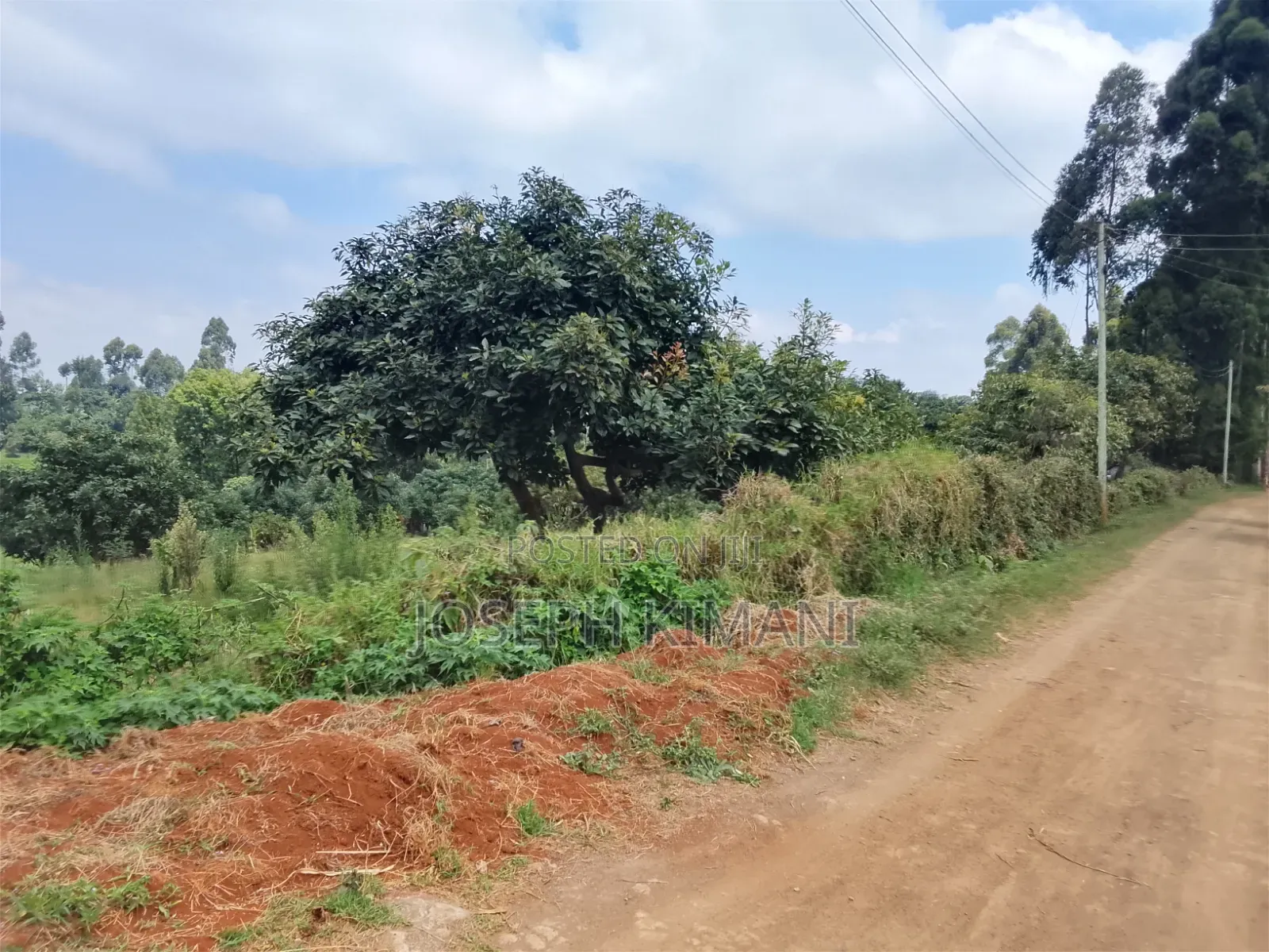 Farm for Sale in Munduro Gatundu South