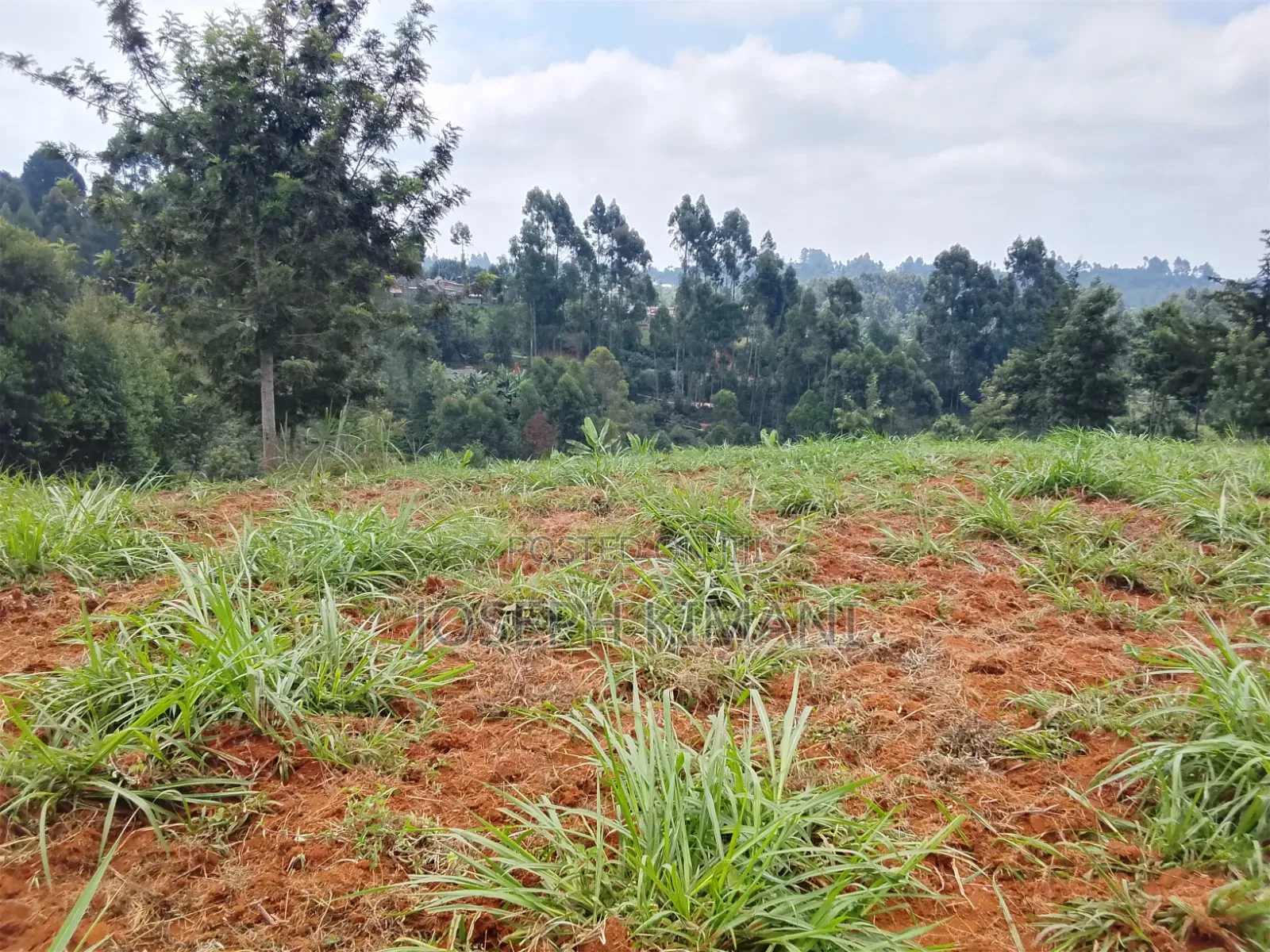 Farm for Sale in Munduro Gatundu South