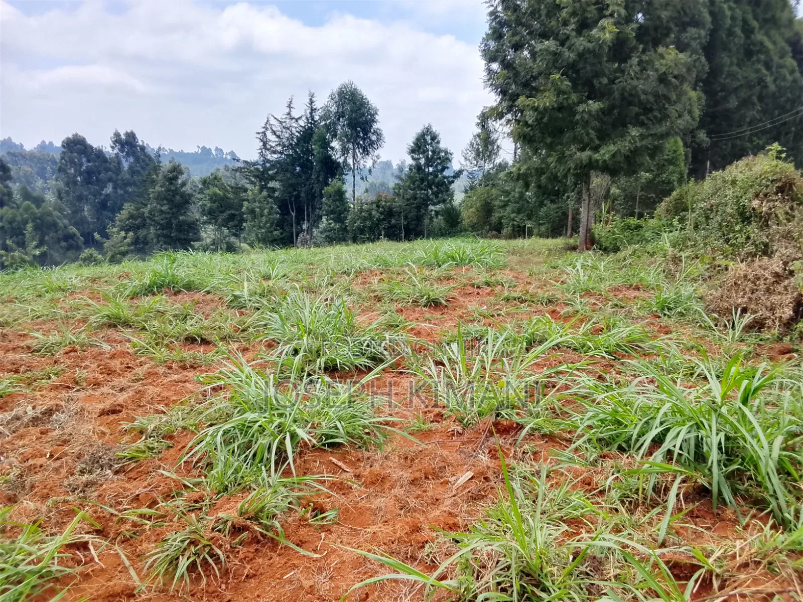 Farm for Sale in Munduro Gatundu South