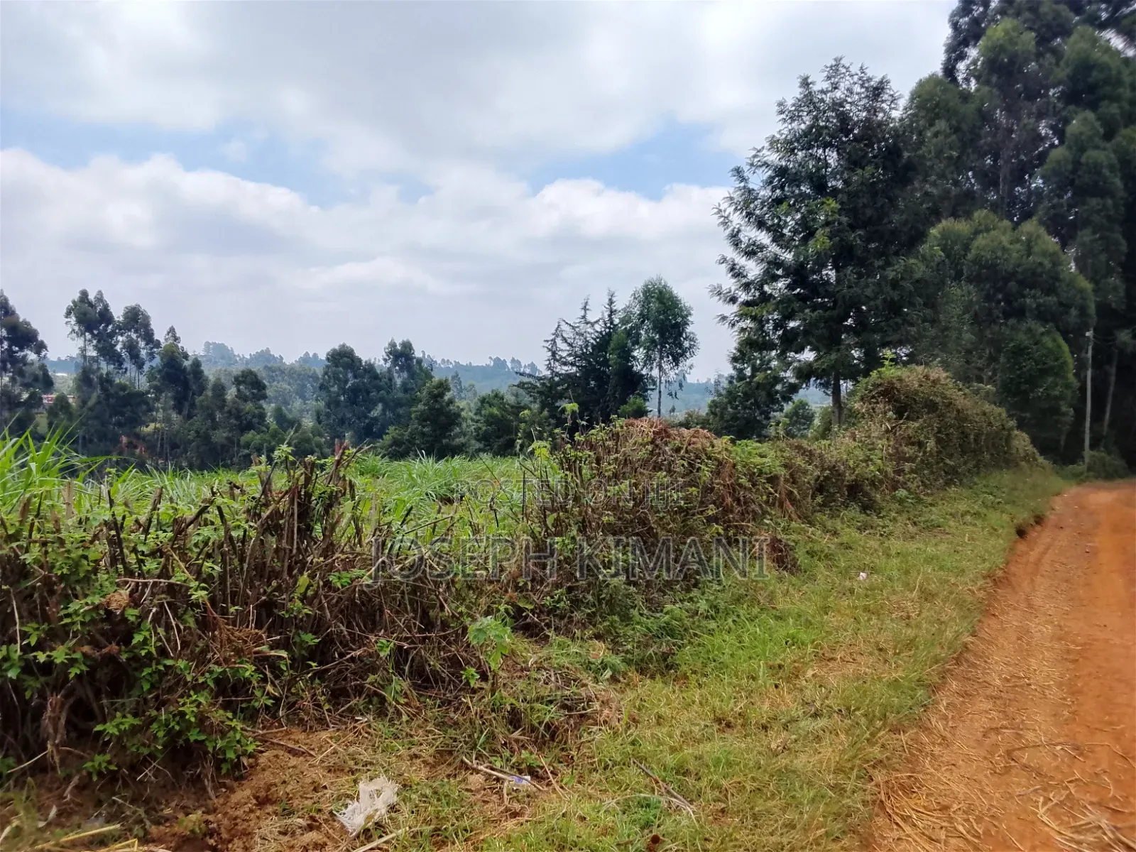 Farm for Sale in Munduro Gatundu South