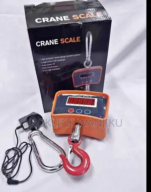 High Quality 500kgs Crane Scale/Most Reliable 500kgs Crane Scale