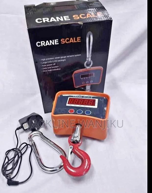 High Quality 500kgs Crane Scale/Most Reliable 500kgs Crane Scale