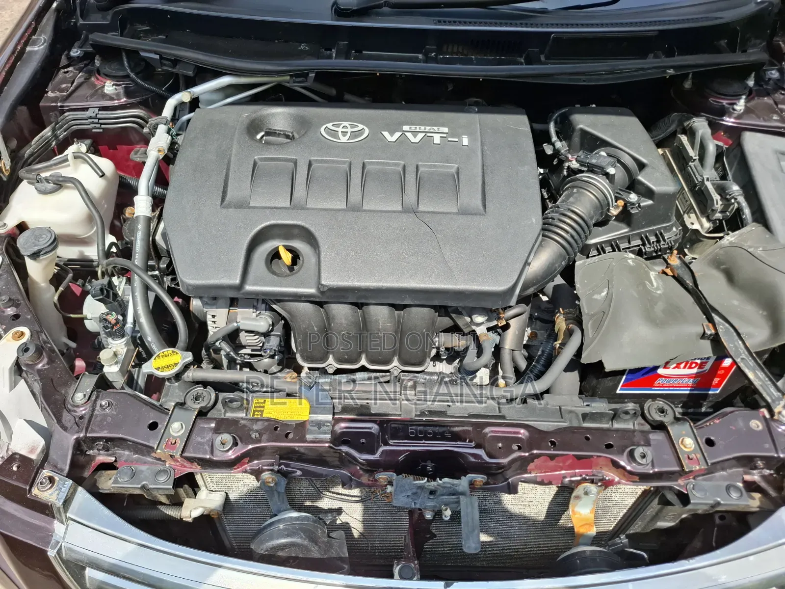 Toyota Premio 2009 Maroon