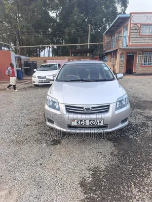 Toyota Axio 2011 Silver