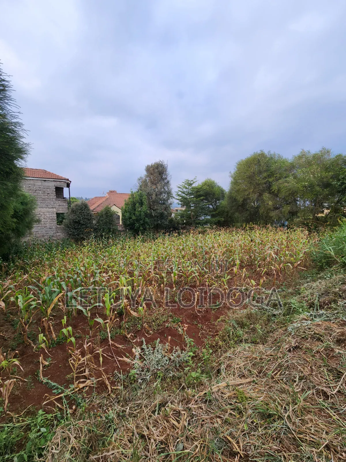 1⁄8 Acre Plots Ngong-Lemiso Rd(Silicon Valley)