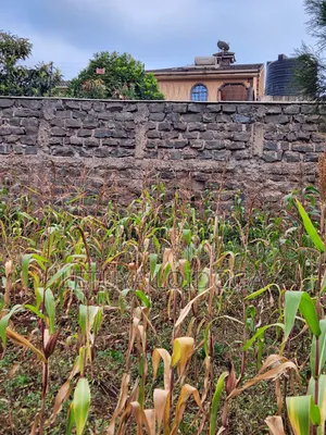 1⁄8 Acre Plots Ngong-Lemiso Rd(Silicon Valley)