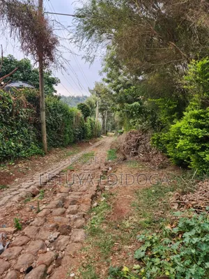 1⁄8 Acre Plots Ngong-Lemiso Rd(Silicon Valley)