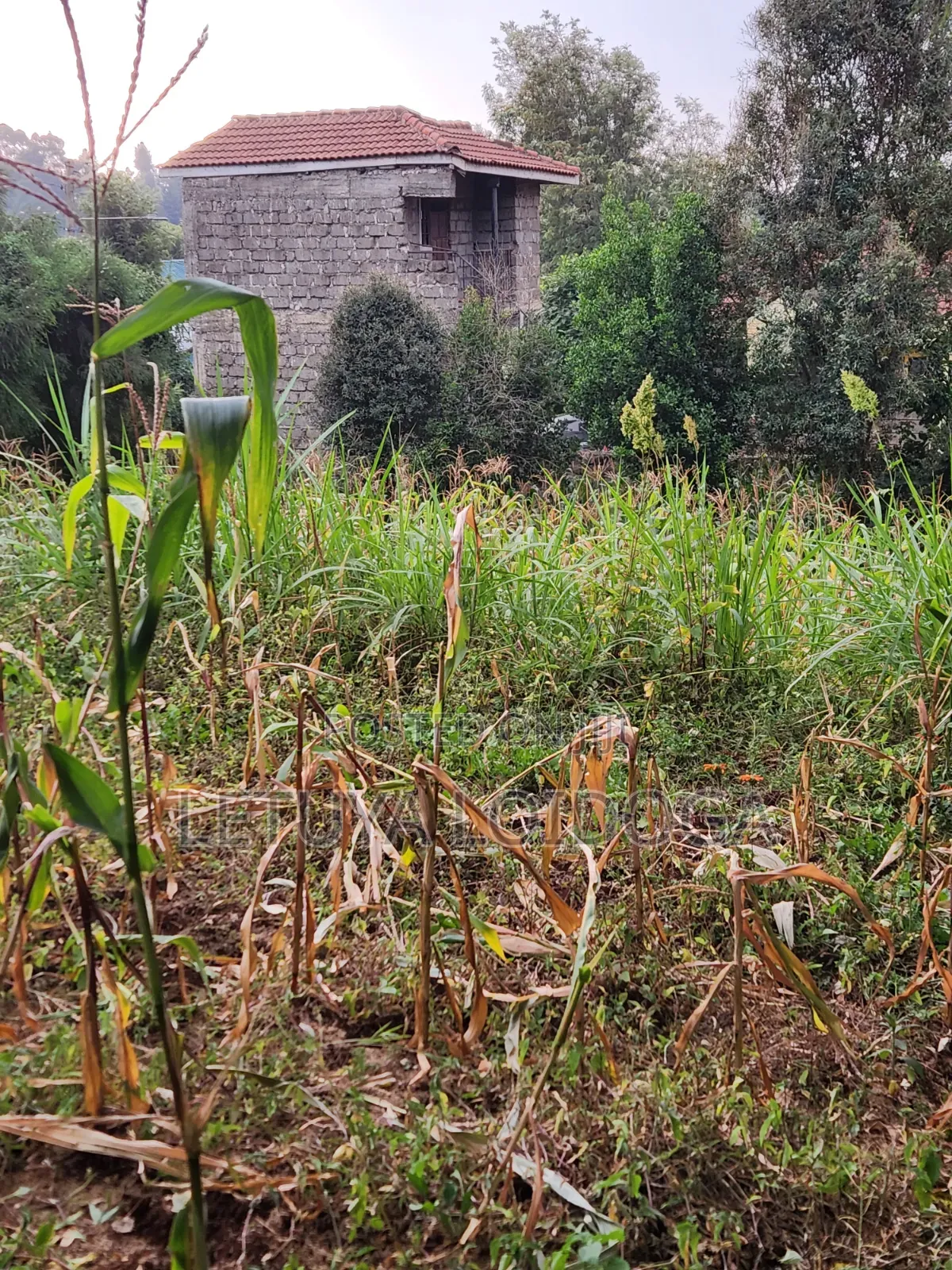 1⁄8 Acre Plots Ngong-Lemiso Rd(Silicon Valley)