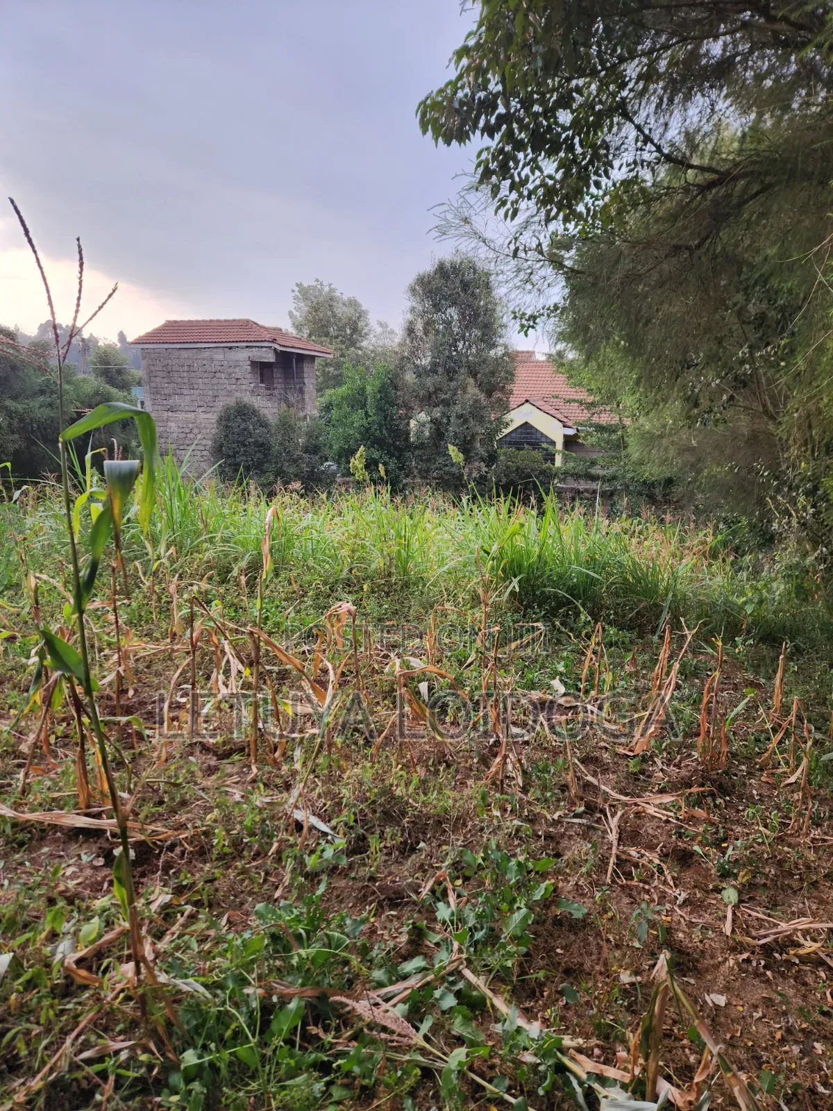 1⁄8 Acre Plots Ngong-Lemiso Rd(Silicon Valley)