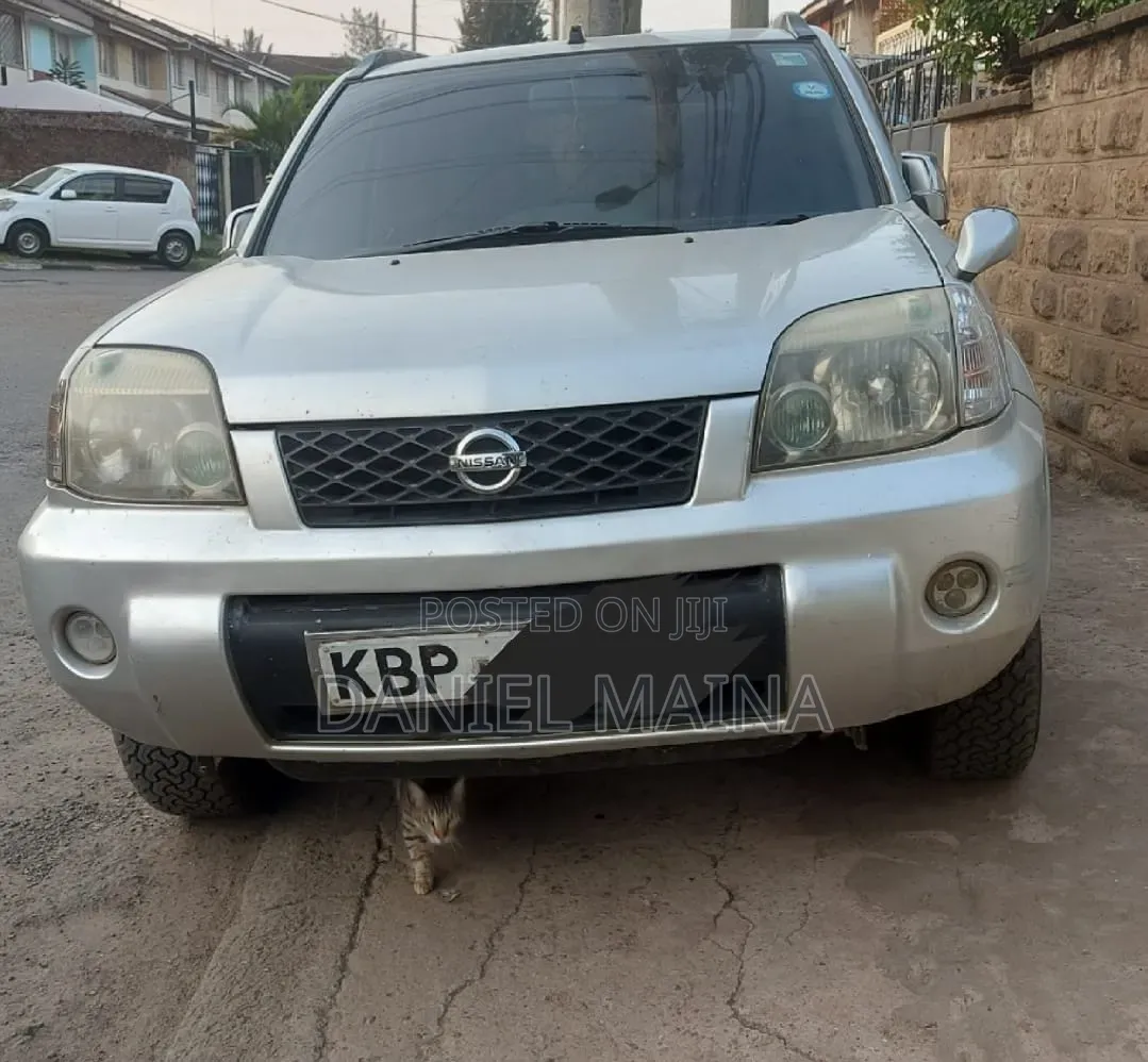 Nissan X-Trail 2004 Gray