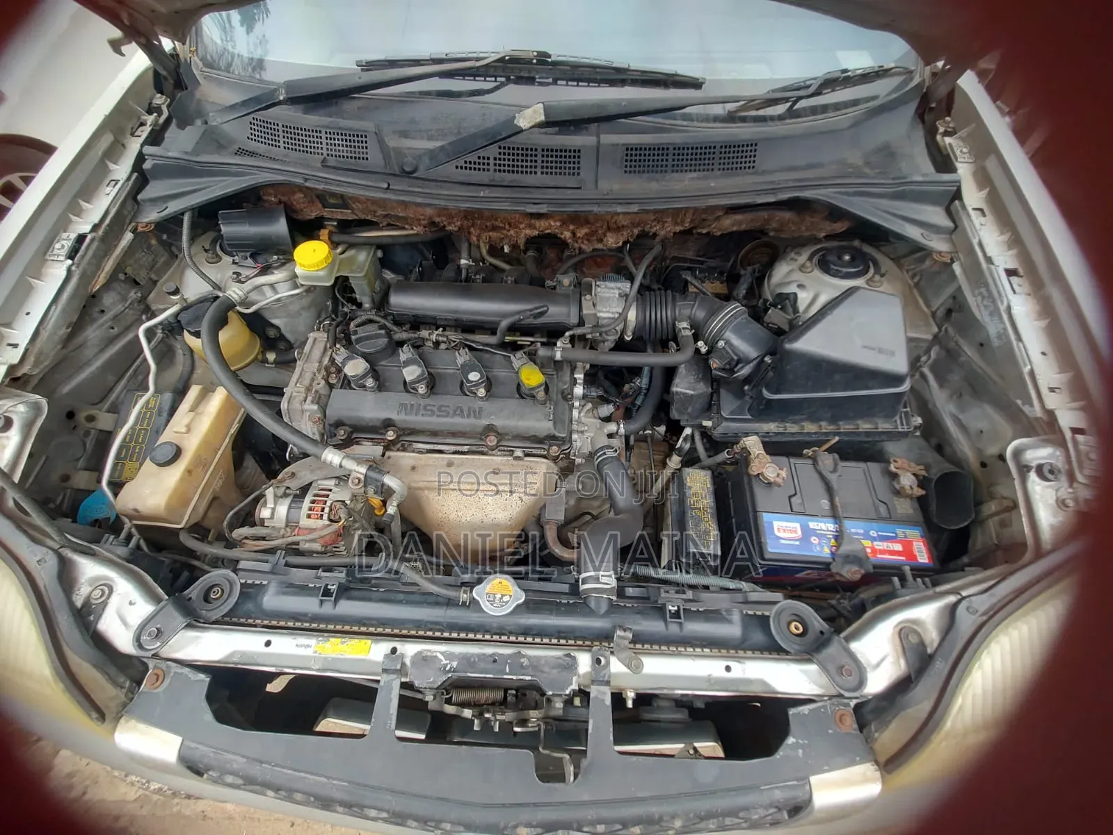 Nissan X-Trail 2004 Gray