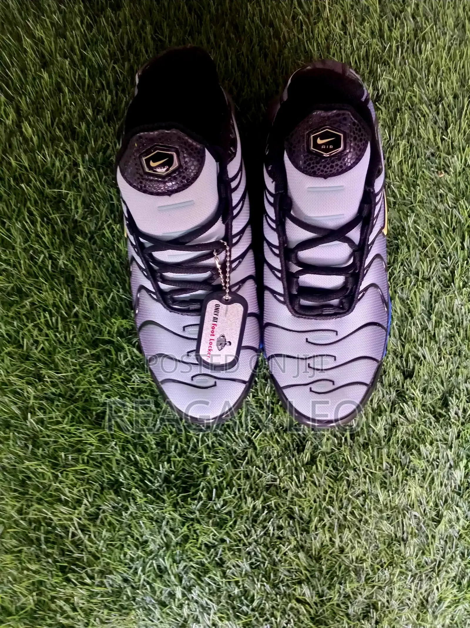 Sneaker and Shoes