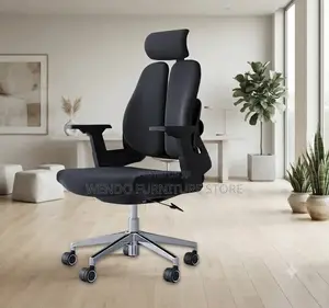 Office Chairs; Dual Backrest Orthopedic Office Fabricated Chairs