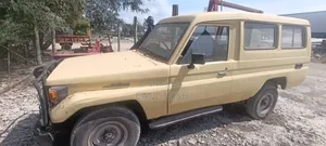 Toyota Land Cruiser 1993 Brown