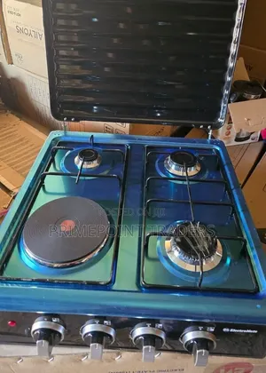 Electromate 3+1 Table Top Cooker – Cook With Gas Electricity