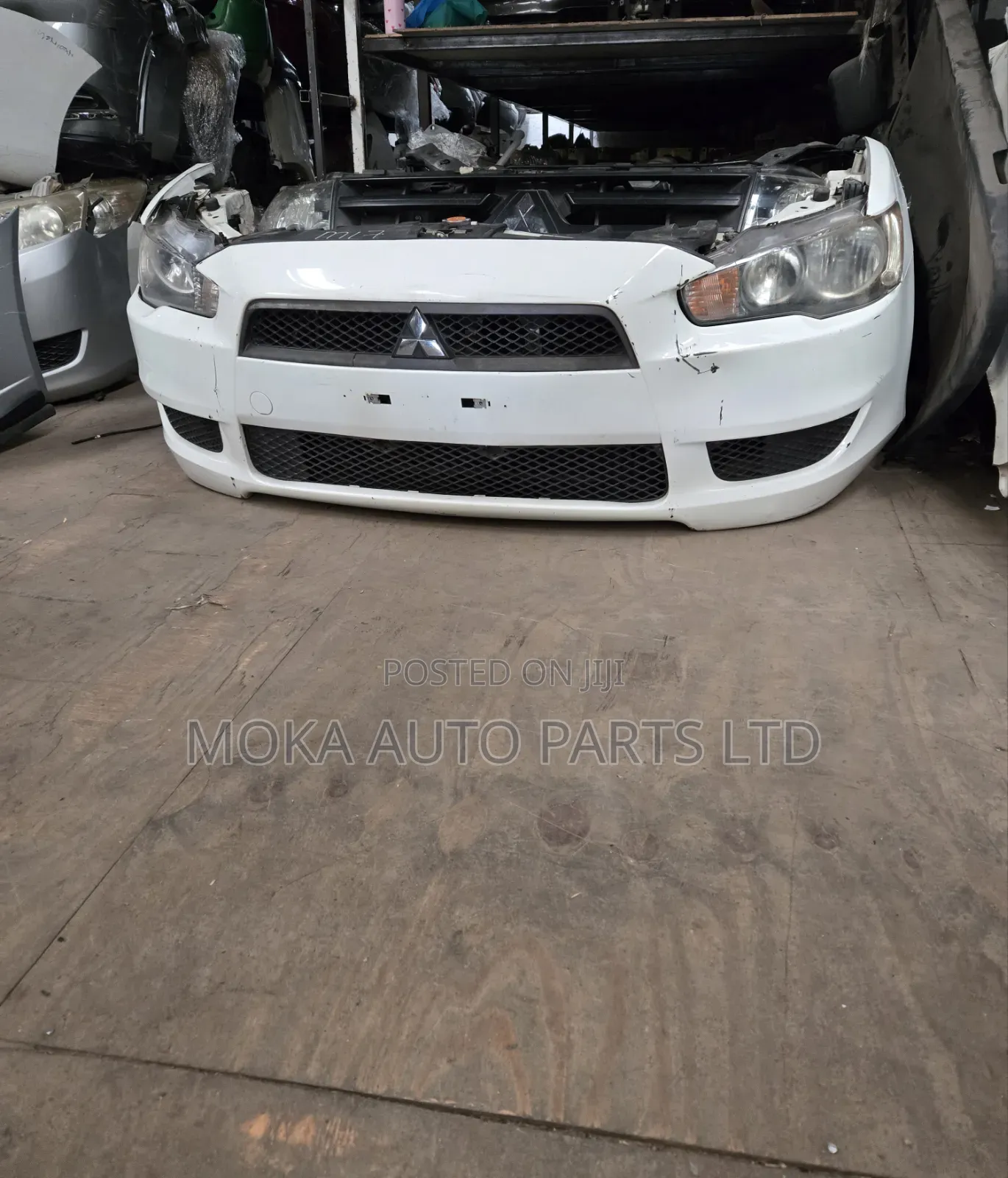 Nnosecut Galant Fortis