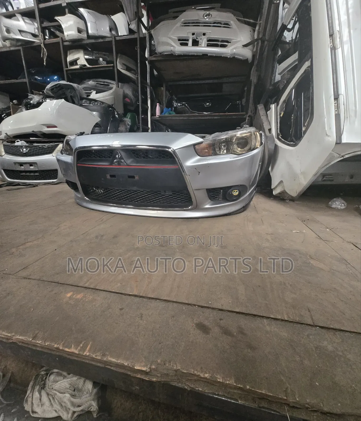 Nnosecut Galant Fortis