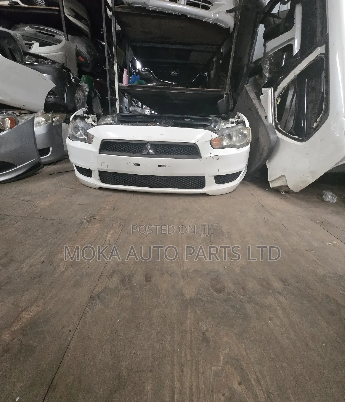 Nnosecut Galant Fortis