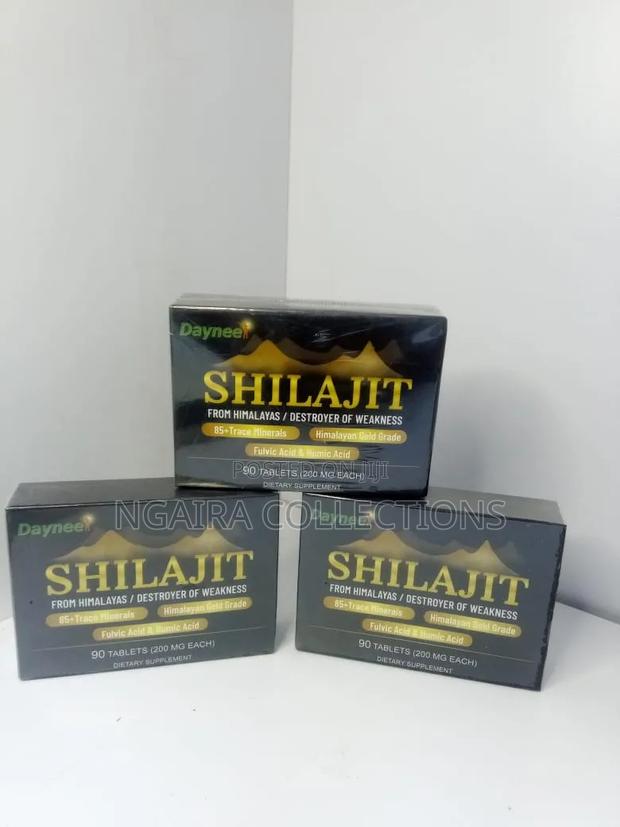 Shilajit Tablets - 90 Tablets - main view