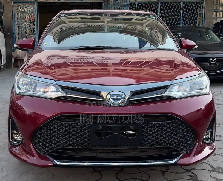 Toyota Axio 2019 Red