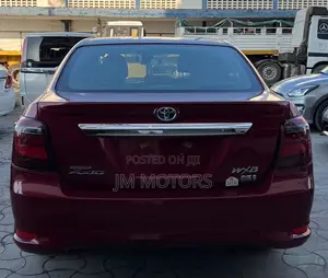 Toyota Axio 2019 Red