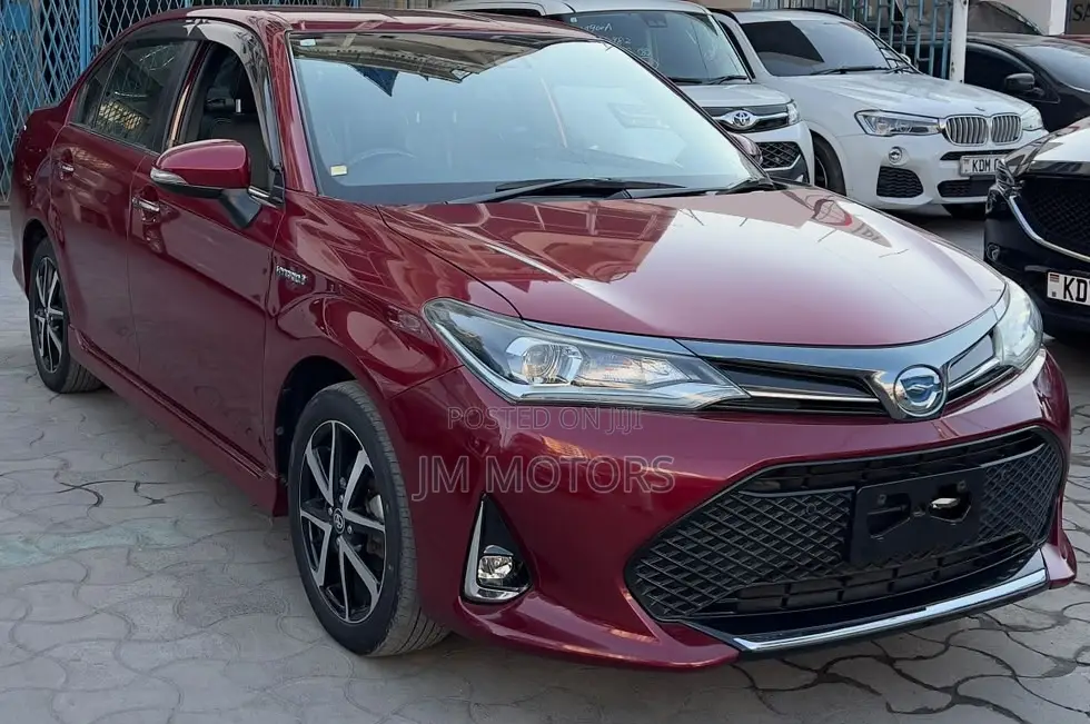 Toyota Axio 2019 Red