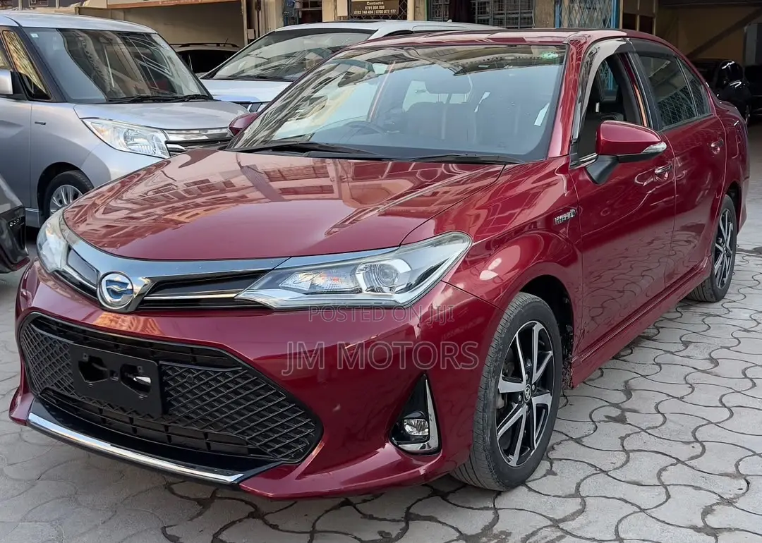 Toyota Axio 2019 Red