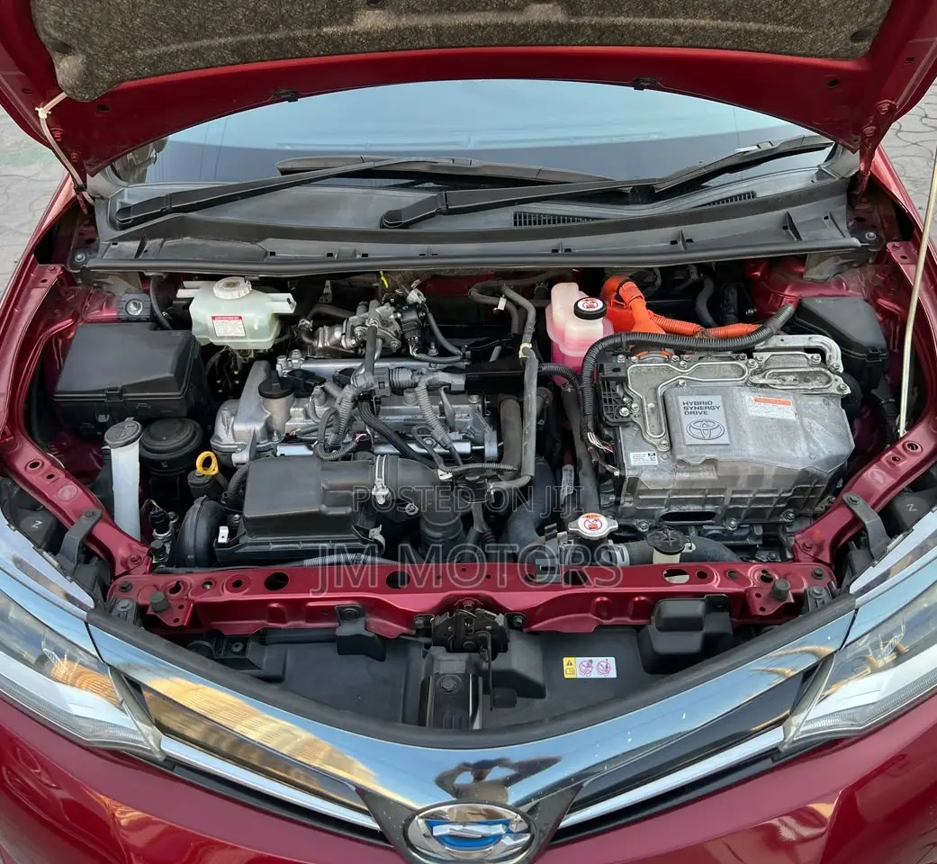 Toyota Axio 2019 Red