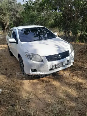 Toyota Axio 2009 White