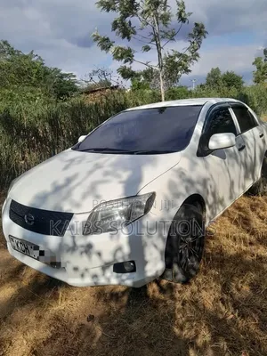 Toyota Axio 2009 White