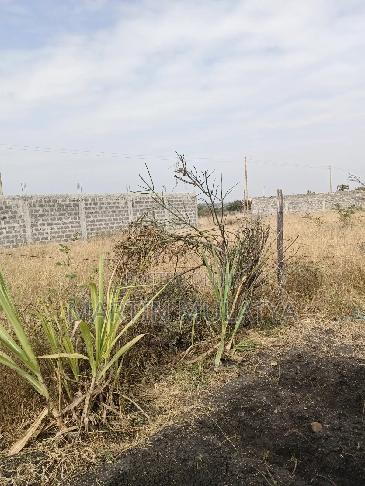 Plot for Sell
