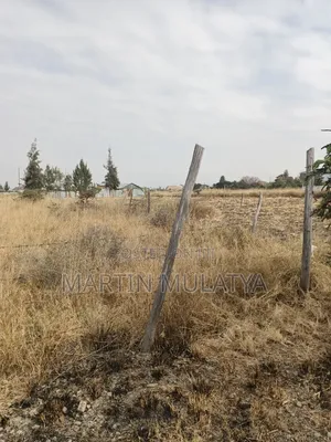 Plot for Sell