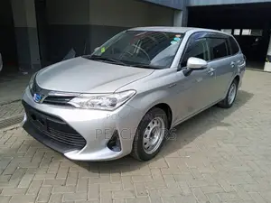 Toyota Corolla Fielder 2019 Silver