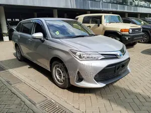 Toyota Corolla Fielder 2019 Silver