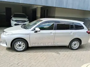Toyota Corolla Fielder 2019 Silver