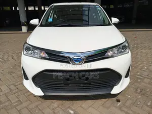 Toyota Axio 2019 White