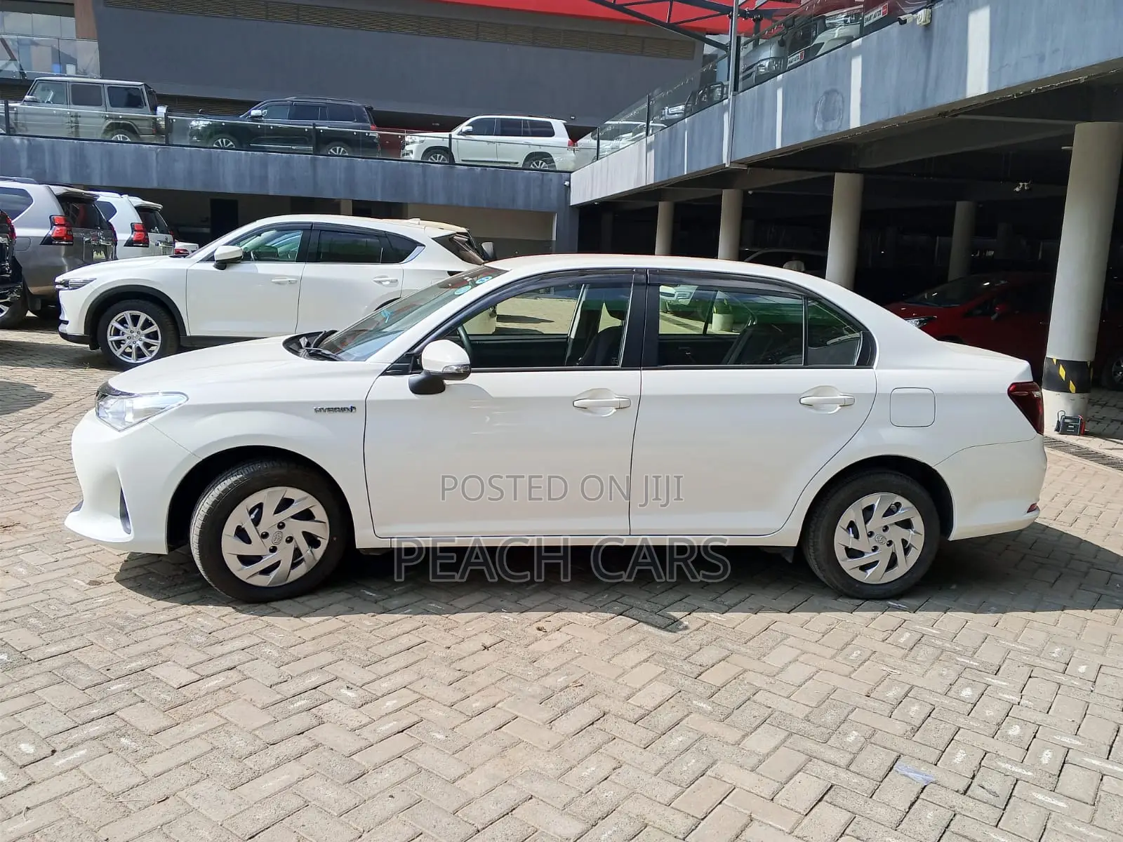 Toyota Axio 2019 White