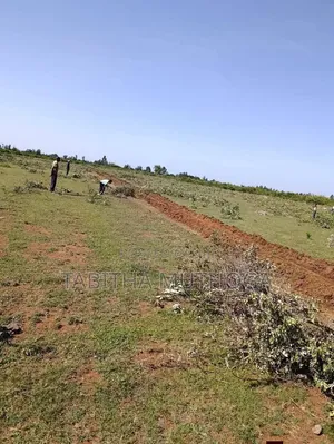 1/8 of an Acre in Rumuruti
