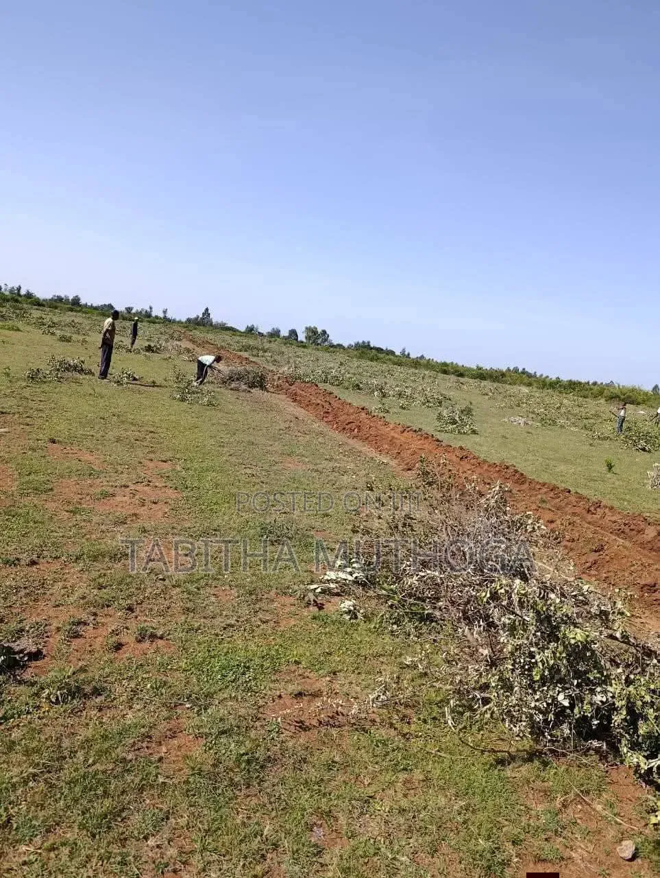 1/8 of an Acre in Rumuruti