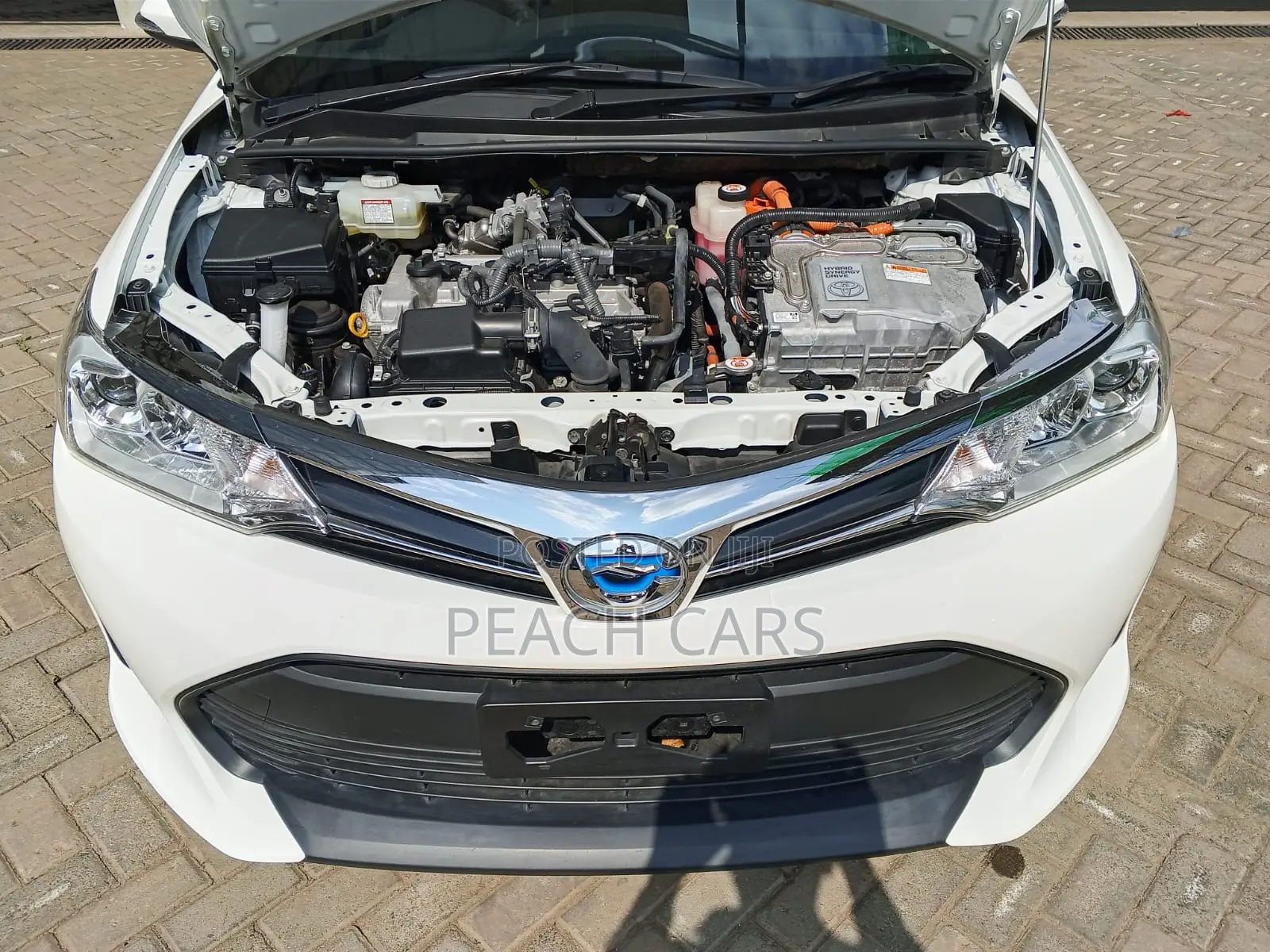 Toyota Axio 2019 White