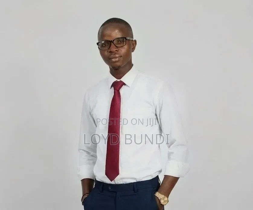 Professional Accountant Curriculum Vitae