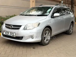 Toyota Corolla Fielder 2011 Silver