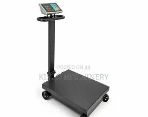 300kg Electronic Platform Weighing Scale (Heavy Duty)